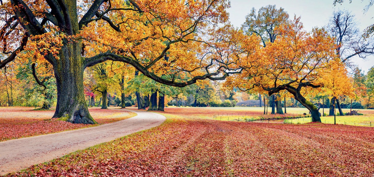 Foredrag om Berlin-murens fall + tur-presentasjon