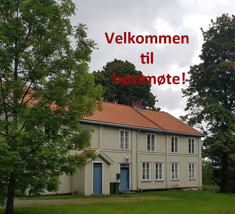 Hva blir historielagenes plass i Viken? 