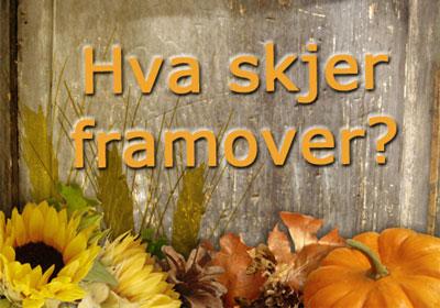 Hva skjer i historielagene? 