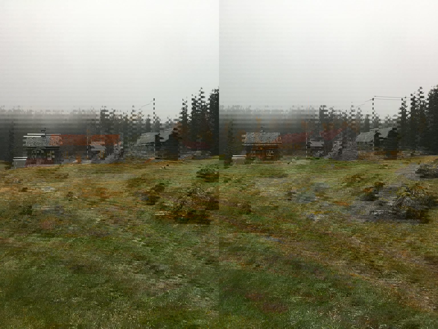 Fredning av skogfinneplassen Mikkelrud 13.06.2023