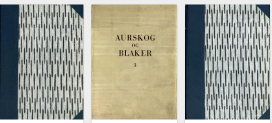 «Bokhylla» har mye nyttig lokalhistorie 