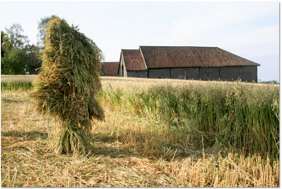 «Landbruket 1850-1900, den store moderniseringen»