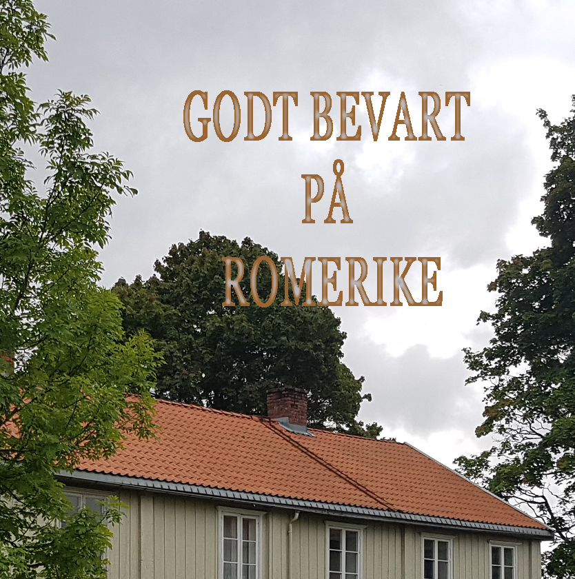 Interessante novemberforedrag med godt besøk 👍